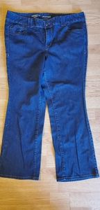 Lane Bryant distinctively bootcut size 20 petite